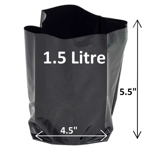 Litre plant poly pots 5 - plant,