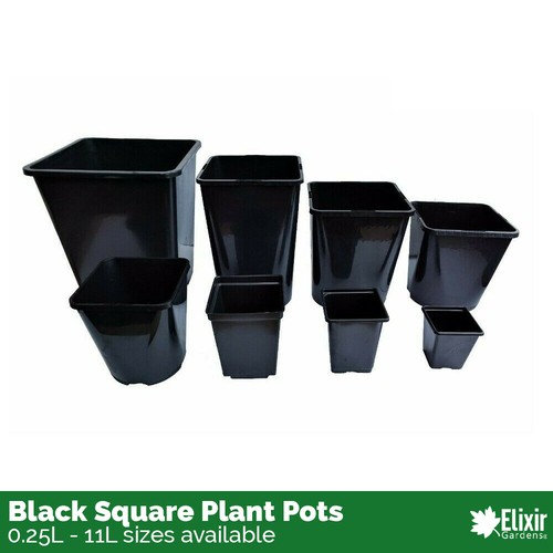 Square plant pot 75 1 - pot, 2