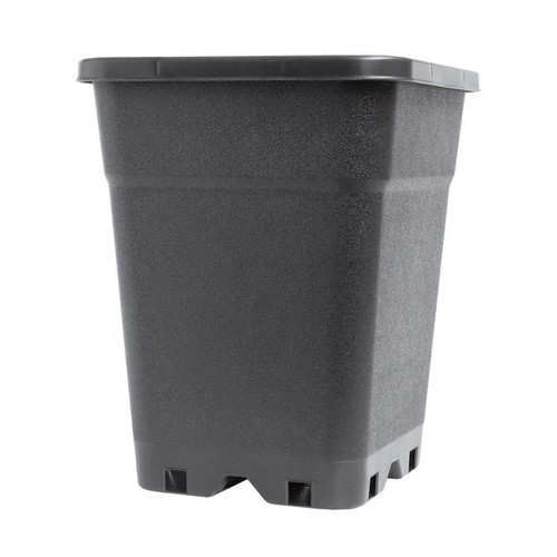 14l square plant - square,