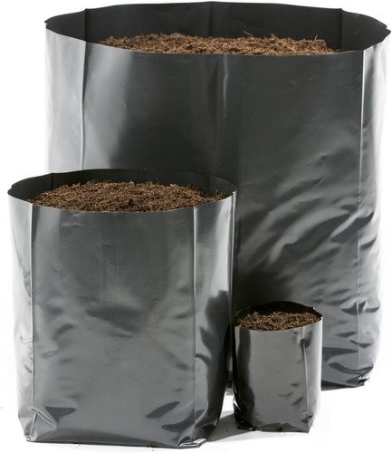 Hadopots black poly grow - hadopots,