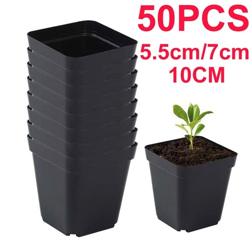 50pcs square plastic seedling - square,