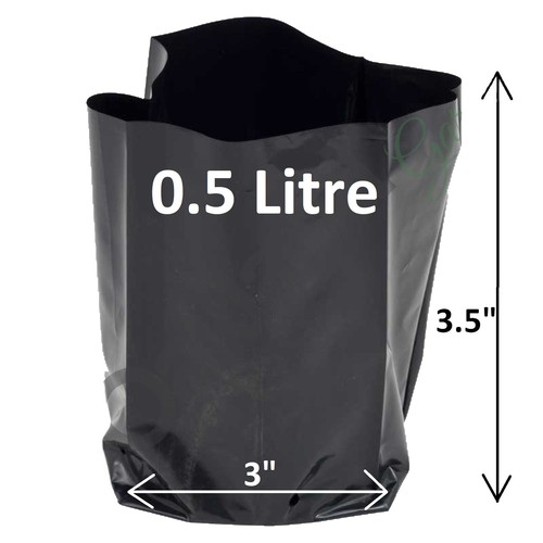 Litre plant poly - plant, x