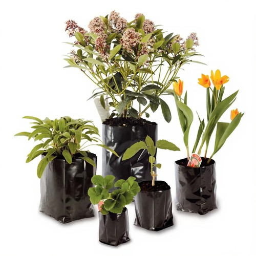 Poly plant pots - plant, bag