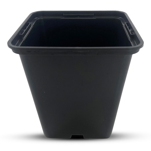 9cm rigid square - 9cm,