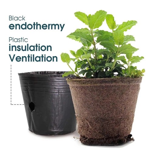 Poly plant pots grow - poly, bag