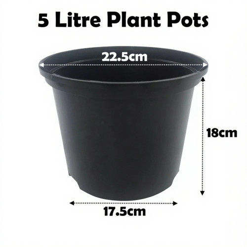 Litre black plant - litre,