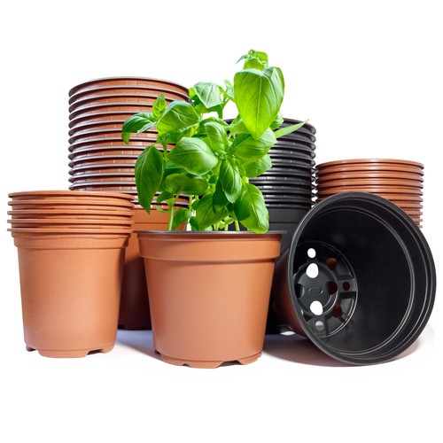 Plastic nursery seedling - plastic, nursery/seedling