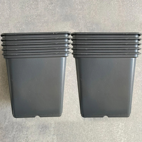 11cm square black plant pots - square,