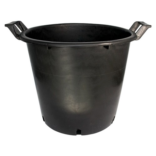 Round plant pots - plant,