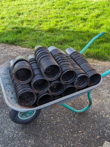 Litre plastic plant pots x - litre,