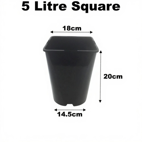 Litre square plant - 5, 18cm