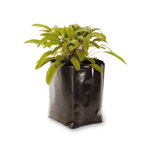 Poly pots professional - professional, plastic