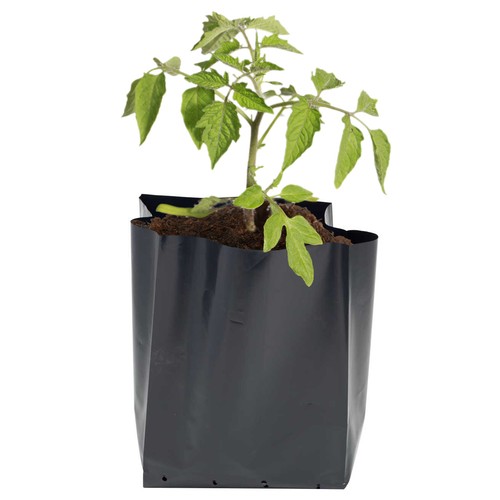 Litre black poly - 10,