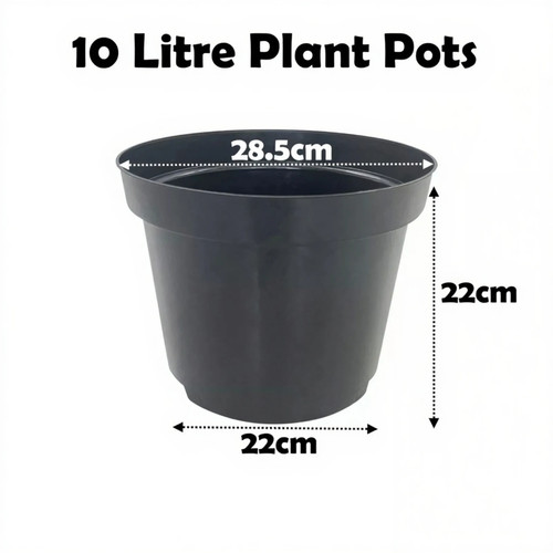 Litre black plant - litre, pots