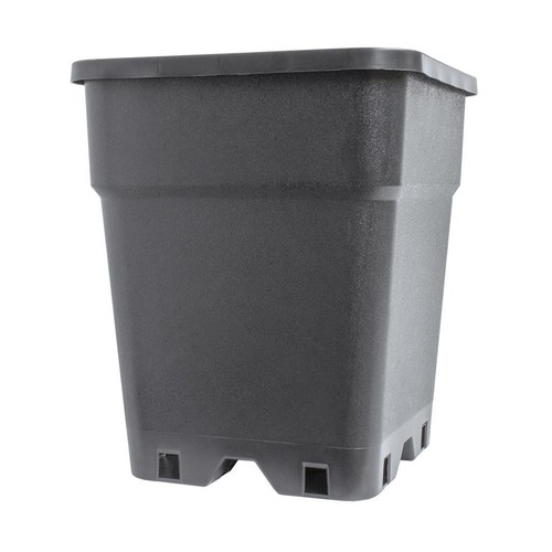 11l square plant - plant,