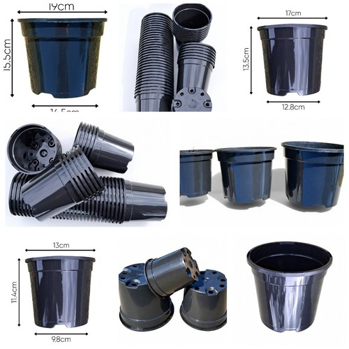 Black plastic plant - pots, 2