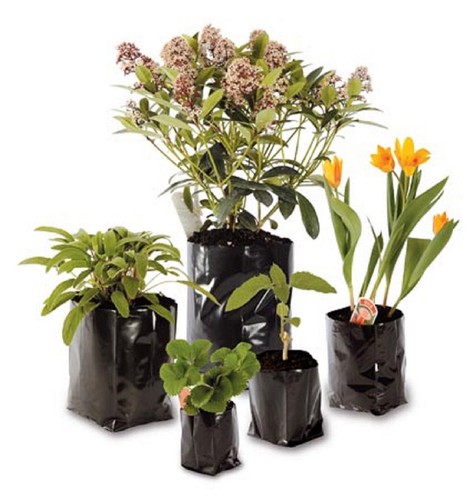 Poly pots strong - pots, bag