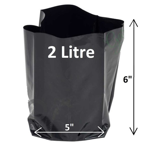 Litre plant poly - plant, x