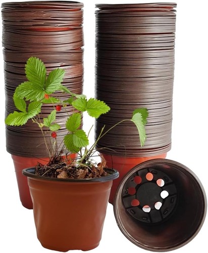 Armo 100 pack plastic plant - armo®,