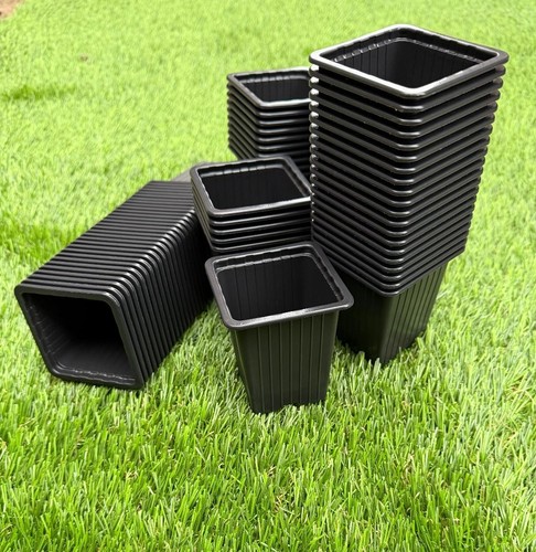 7cm stronger plant - 7cm, 100