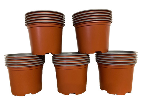 Plant pots full size - plant,